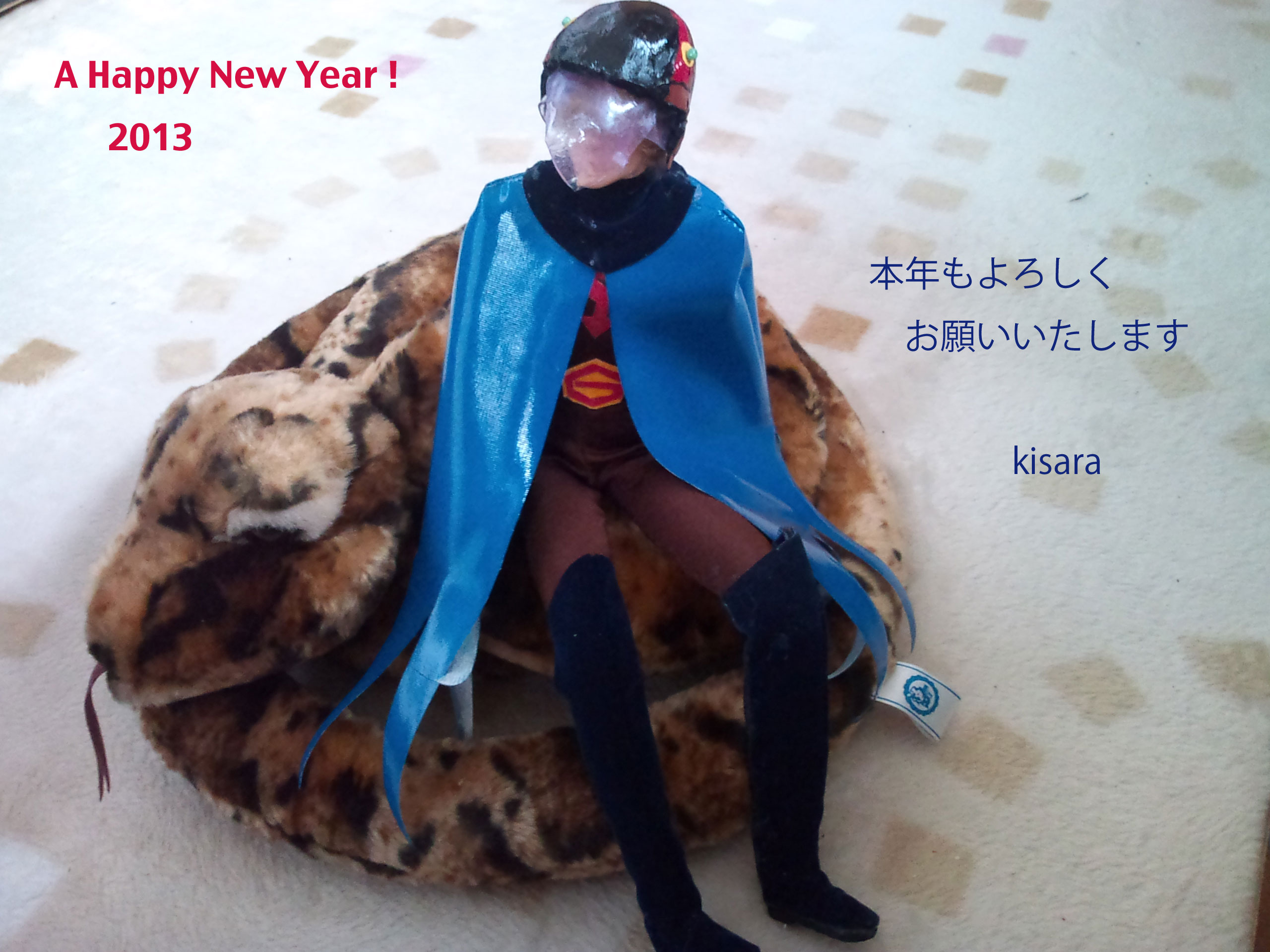 new_year2013